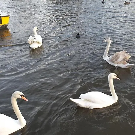 Riverside Leyde
